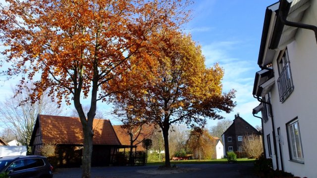 Herbst in Hattrop 2018